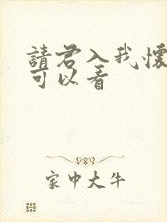 请君入我怀哪里可以看