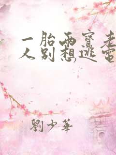 一胎两宝老婆大人别想逃电视剧