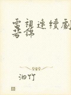 电视连续剧韶华若锦