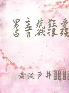 男主疯狂爱女主占有欲很强的小说