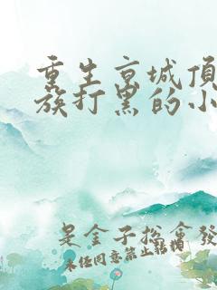 重生京城顶级家族打黑的小说