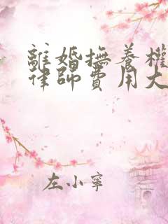 离婚抚养权起诉律师费用大概要多少