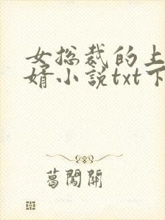 女总裁的上门龙婿小说txt下载