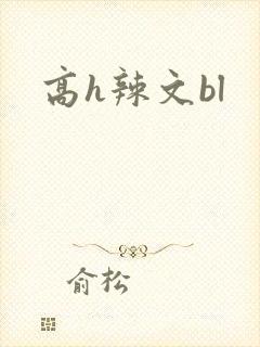 高h辣文bl