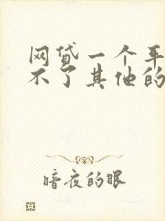 网贷一个平台借不了其他的都借不了