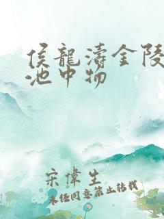 侯龙涛金陵岂是池中物