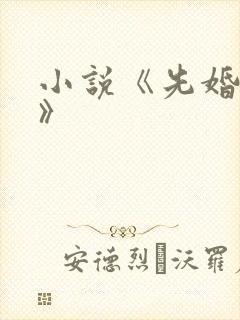 小说《先婚后爱》