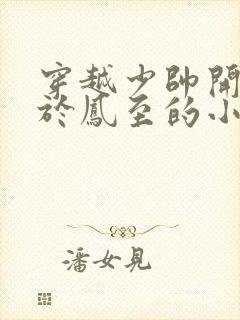 穿越少帅开局娶于凤至的小说