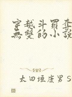 穿越斗罗夺舍火无双的小说