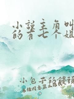 小说主角叫陆云的有七个姐姐