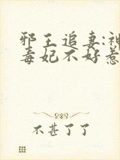 邪王追妻:神医毒妃不好惹