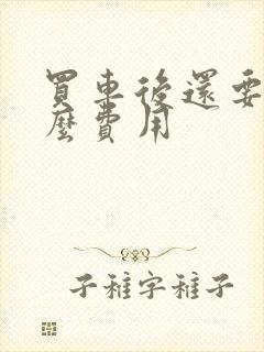 买车后还要交什么费用