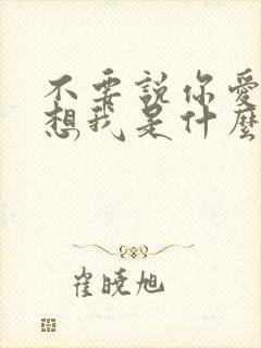 不要说你爱我你想我是什么歌名