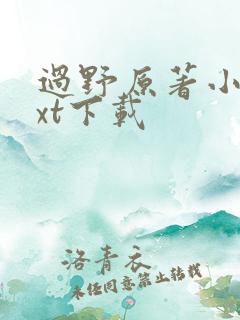 过野原著小说txt下载