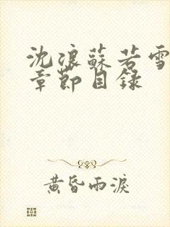 沈浪苏若雪最新章节目录