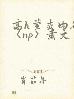 高h荤爽肉欲文〈np〉黄文