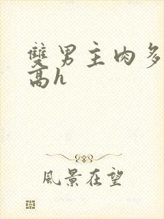 双男主肉多荤文高h