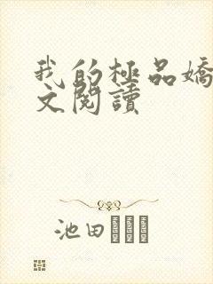 我的极品娇妻全文阅读