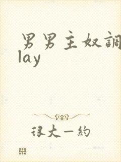 男男主奴调教play
