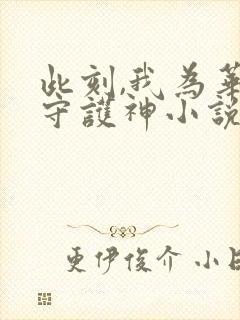 此刻,我为华夏守护神小说阅读