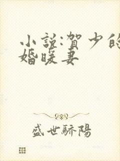 小说:贺少的闪婚暖妻