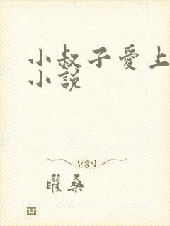 小叔子爱上嫂子小说