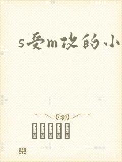 s受m攻的小说