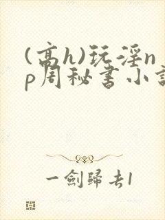 (高h)玩淫np周秘书小说