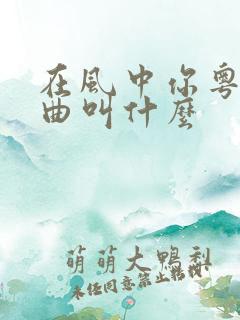 在风中你粤语歌曲叫什么