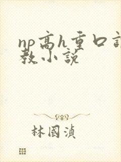 np高h重口调教小说