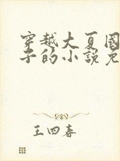 穿越大夏国九皇子的小说免费阅读