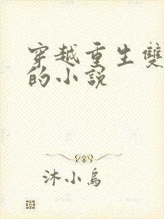 穿越重生双男主的小说