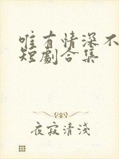 唯有情深不可负短剧合集