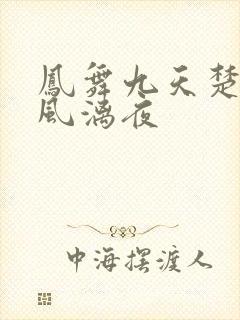 凤舞九天楚倾歌风漓夜