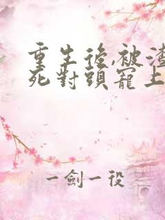 重生后,被渣男死对头宠上天