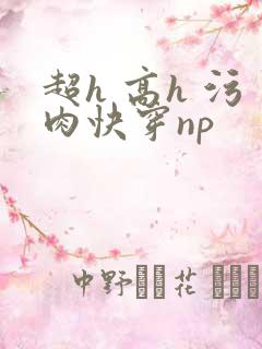 超h 高h 污肉快穿np