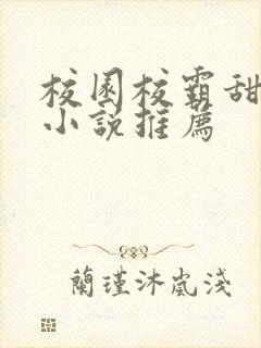 校园校霸甜宠文小说推荐