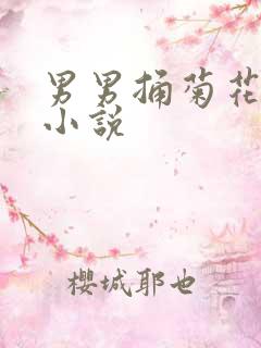 男男捅菊花调教小说