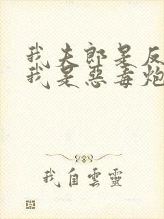 我夫郎是反派而我是恶毒炮灰免费阅读