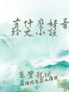 有什么好看的高干文小说