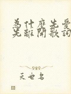 为什么先爱的人先离开歌词