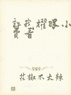 许我耀眼小说免费看