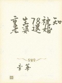 重生78被知青老婆退婚