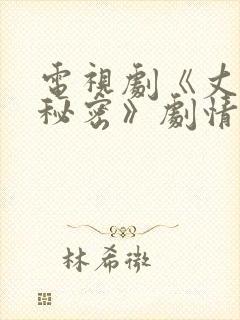 电视剧《丈夫的秘密》剧情介绍