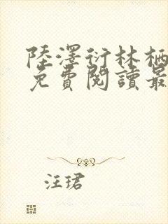 陆泽衍林栖小说免费阅读最新章节