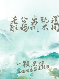 老公出轨还起诉离婚我不同意怎么办