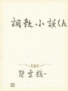 调教小说(h)