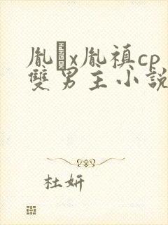 胤禩x胤禛cp双男主小说