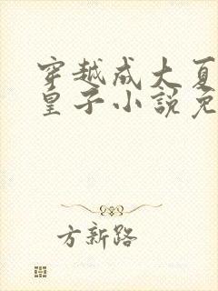 穿越成大夏国九皇子小说免费阅读