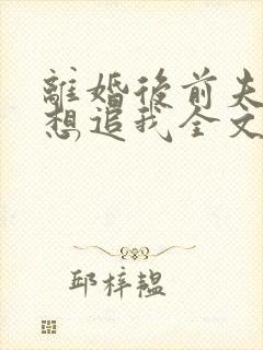 离婚后前夫总是想追我全文免费